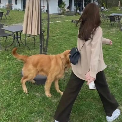 来自普莱恩维尔的女孩