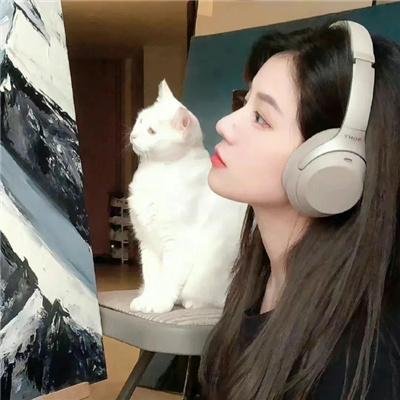 皮相猎影